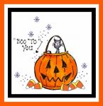 Alley Cat Pumpkin Card